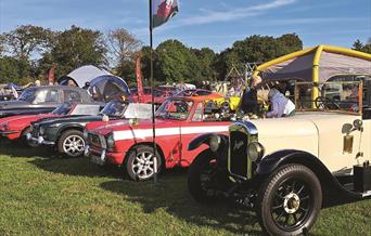 Classic Car Show & Dog Show