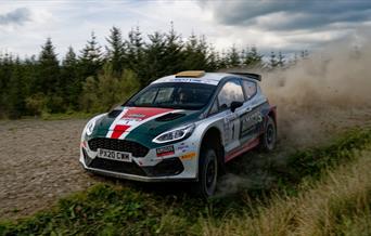 Phil Price Memorial Woodpecker Rally