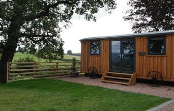 Cyfie Farm | Shepherds Hut