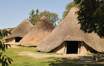 Castell Henllys Iron Age Fort