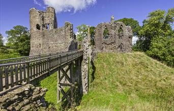 Grosmont Castle (Cadw)