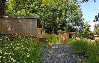 cabins wild flowers trees grass blue sky