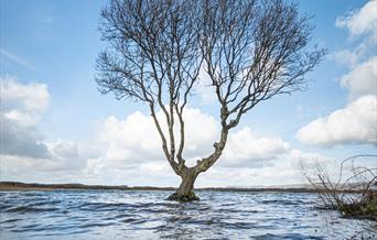 Kenfig National Nature Reserve