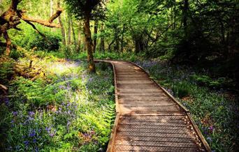 Bryngarw Country Park