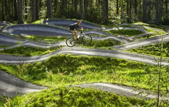 Coed Y Brenin Mountain Biking