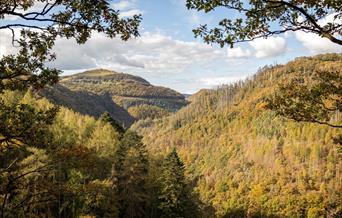 Rheidol Valley