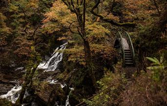 Devil's Bridge | Nature Trail Walk