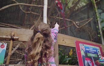 Plantasia Tropical Zoo