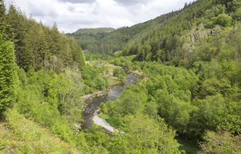 Afon Ystwyth