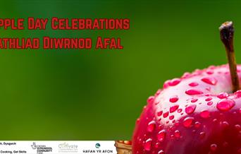 Apple Day Newtown