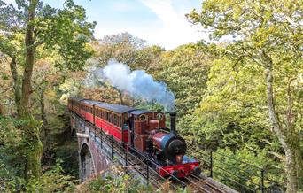 Number 2 'Dolgoch' crossing the viaduct, approaching Dolgoch Station.