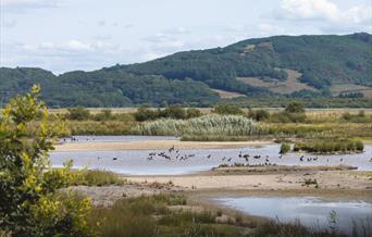 Image Credit: Visit Mid Wales