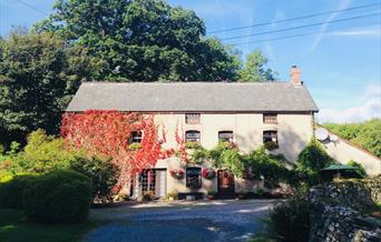 Old Mill Felin Fach