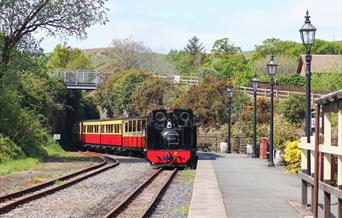 Vale of Rheidol Railway | Weddings