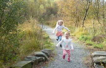 Coed y Bont Community Woodland