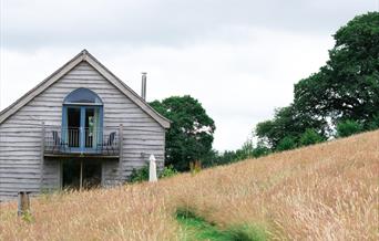 Wild Meadow | Meadow Cottage