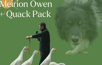Meirion Owen and the Quack Pack at Cardigan Castle