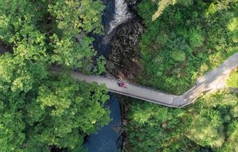 Coed y Brenin Forest Park