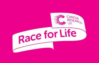 Llanelli Race for Life