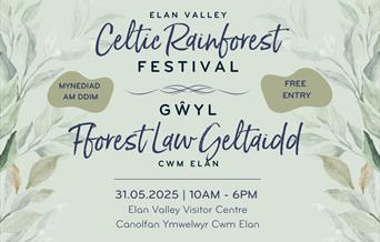 Graphic that says 'Celtic Rainforest Festival'