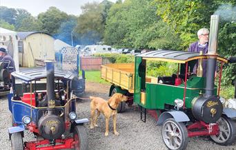 Miniature steam lorries at Llanfair Station