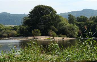 Llyn Coed y Dinas Nature Reserve