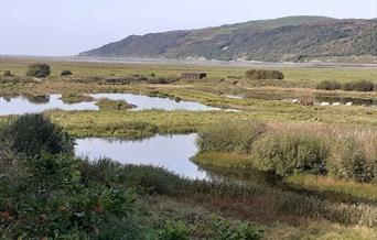 Marian mawr pools RSPB Ynys-hir
