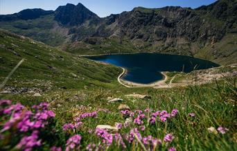 Yr Wyddfa (Snowdon) near summit