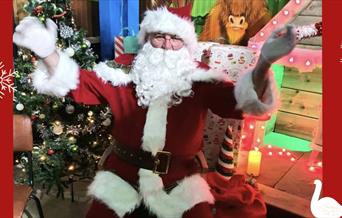 Moody Calf Christmas Party with Santa