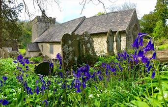 A photo of St Telios in the sun with Bluebells