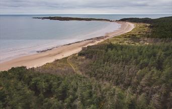 Newborough Forest