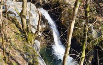 Abercorris Nature Reserve