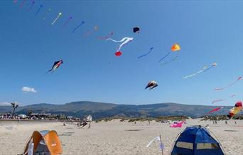 Aberdovey Kite Festival