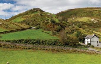 Dyfi Discovery Walk | Cwrt Walk