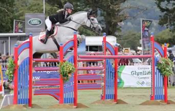Denbigh & Flint Show