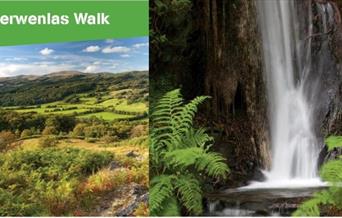 Dyfi Discovery Walk | Derwenlas Walk