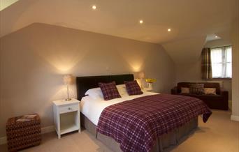 Dolffanog Fawr - double room