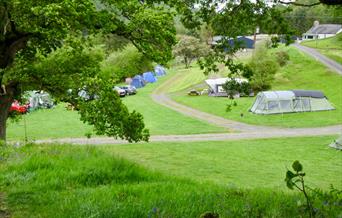 Gwerniago Campsite