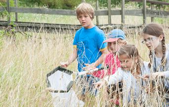Kids grass sweeping