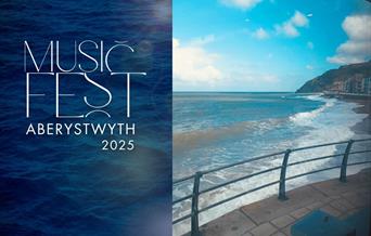 Gwyl 'Musicfest 25'
