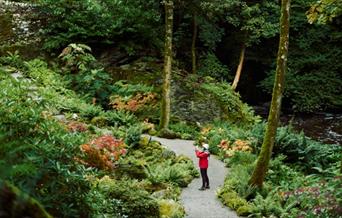 Plas Cadnant Hidden Gardens