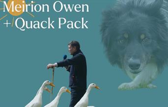 Meirion Owen and the Quack Pack at Cardigan Castle
