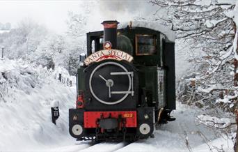 Santa's Special Train