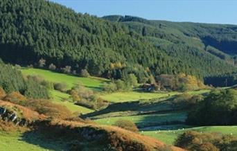 Spirit of the Miners Walks - Devil's Bridge Circular Walk