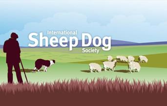 Sheepdog Welsh National Trials 2025