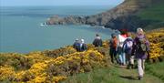 Dragon Trails Walking Holidays | Nr Llangrannog