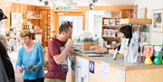 Gift Shop and Information at Coed Y Brenin