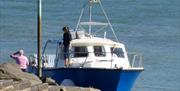 Dolphin Survey Boat trips
