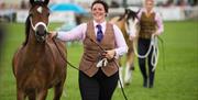 Royal Welsh Show.