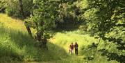 Available to only Drovers guests this area of regenerating woodland is a very special place, steeped in history as well as a haven for wildlife, and g